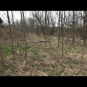 Meet your Posher, Ben